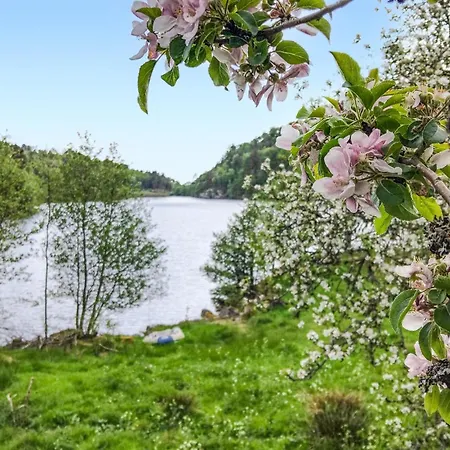 Apartamento 1 Bedroom Lovely In Lindesnes Fidje
